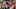 Dennis Wierzbicki-USA TODAY Sports Dennis Wierzbicki-USA TODAY Sports