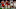 Joe Camporeale-USA TODAY Sports Joe Camporeale-USA TODAY Sports