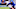 Nov 20, 2016; East Rutherford, NJ, USA; Chicago Bears wide receiver Eddie Royal (19) can Nov 20, 2016; East Rutherford, NJ, USA; Chicago Bears wide receiver Eddie Royal (19) can