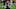 Chicago Bears, Ted Ginn Chicago Bears, Ted Ginn