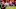 Chicago Bears, Evan Engram Chicago Bears, Evan Engram