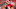 Chicago Bears, Jake Fromm Chicago Bears, Jake Fromm