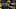 Michigan, Shea Patterson
