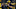 Michigan, Shea Patterson