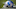 Chicago Bears, Lions Helmet Chicago Bears, Lions Helmet