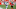 Chicago Bears, James Bradberry Chicago Bears, James Bradberry