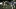 Chicago Bears, Dick Butkus Chicago Bears, Dick Butkus