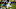 Chicago Bears, Gabriel Sewell Chicago Bears, Gabriel Sewell