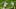 Chicago Bears, Deebo Samuel Chicago Bears, Deebo Samuel
