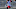 Chicago Bears, Jonathan Adams, Jr. Chicago Bears, Jonathan Adams, Jr.