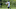Chicago Bears, Jimmy Graham Chicago Bears, Jimmy Graham