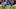 Khalil Mack, Chicago Bears Khalil Mack, Chicago Bears