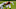 Chicago Bears, Jimmy Graham Chicago Bears, Jimmy Graham