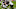 Chicago Bears, Jason Spriggs Chicago Bears, Jason Spriggs