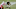 Chicago Bears, Rondale Moore Chicago Bears, Rondale Moore