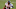 KANSAS CITY, MISSOURI – DECEMBER 27:, Missouri. (Photo by Jamie Squire/Getty Images) KANSAS CITY, MISSOURI – DECEMBER 27:, Missouri. (Photo by Jamie Squire/Getty Images)