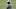 Chicago Bears, Vic Fangio Chicago Bears, Vic Fangio