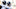 Jacksonville Jaguars Jacksonville Jaguars