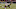 ST. LOUIS, MO – NOVEMBER 15: Wes Welker