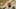 Chicago Bears, Matt Nagy, Hector Elizondo Chicago Bears, Matt Nagy, Hector Elizondo