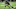 HOUSTON, TX – SEPTEMBER 11: Tyler Ervin HOUSTON, TX – SEPTEMBER 11: Tyler Ervin