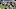 CHICAGO, IL – NOVEMBER 27: Rashad Johnson CHICAGO, IL – NOVEMBER 27: Rashad Johnson