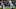 CHICAGO, IL – NOVEMBER 27: Pernell McPhee CHICAGO, IL – NOVEMBER 27: Pernell McPhee
