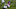 Chicago Bears, Devin Hester Chicago Bears, Devin Hester