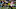 GREEN BAY, WI – DECEMBER 03: Aaron Jones #33 of the Green Bay Packers dives into the end zone to score a touchdown to beat the Tampa Bay Buccaneers 26-20 in overtime at Lambeau Field on December 3, 2017 in Green Bay, Wisconsin. (Photo by Dylan Buell/Getty Images) GREEN BAY, WI – DECEMBER 03: Aaron Jones #33 of the Green Bay Packers dives into the end zone to score a touchdown to beat the Tampa Bay Buccaneers 26-20 in overtime at Lambeau Field on December 3, 2017 in Green Bay, Wisconsin. (Photo by Dylan Buell/Getty Images)