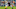 CHICAGO, IL – NOVEMBER 12: Davante Adams CHICAGO, IL – NOVEMBER 12: Davante Adams