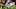 Jonathan Daniel/Getty Images Jonathan Daniel/Getty Images
