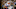 PHILADELPHIA, PA – NOVEMBER 27: Aaron Hernandez PHILADELPHIA, PA – NOVEMBER 27: Aaron Hernandez
