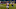 Chicago Bears, Matt Forte Chicago Bears, Matt Forte