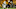 Chicago Bears, Frank Darby Chicago Bears, Frank Darby