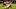 Chicago Bears Chicago Bears