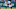 Chicago Bears Chicago Bears
