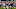 Chicago Bears Chicago Bears