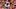 Chicago Bears, Jamie Newman Chicago Bears, Jamie Newman