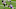 Chicago Bears, Tarik Cohen Chicago Bears, Tarik Cohen