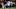 Chicago Bears, David Montgomery Chicago Bears, David Montgomery