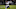 Chicago Bears, David Montgomery Chicago Bears, David Montgomery