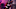 Chicago Bears, Orlando Brown Chicago Bears, Orlando Brown