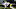 Chicago Bears, Riley Ridley Chicago Bears, Riley Ridley