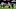 Chicago Bears, Austin Watkins Chicago Bears, Austin Watkins