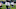 Chicago Bears Chicago Bears