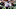 Chicago Bears, Germain Ifedi Chicago Bears, Germain Ifedi