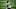 Chicago Bears, Allen Robinson Chicago Bears, Allen Robinson