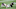 Allen Robinson II (Chicago Bears) Allen Robinson II (Chicago Bears)