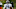 Chicago Bears, Tarik Cohen Chicago Bears, Tarik Cohen