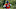 Chicago Bears, Mitchell Trubisky Chicago Bears, Mitchell Trubisky